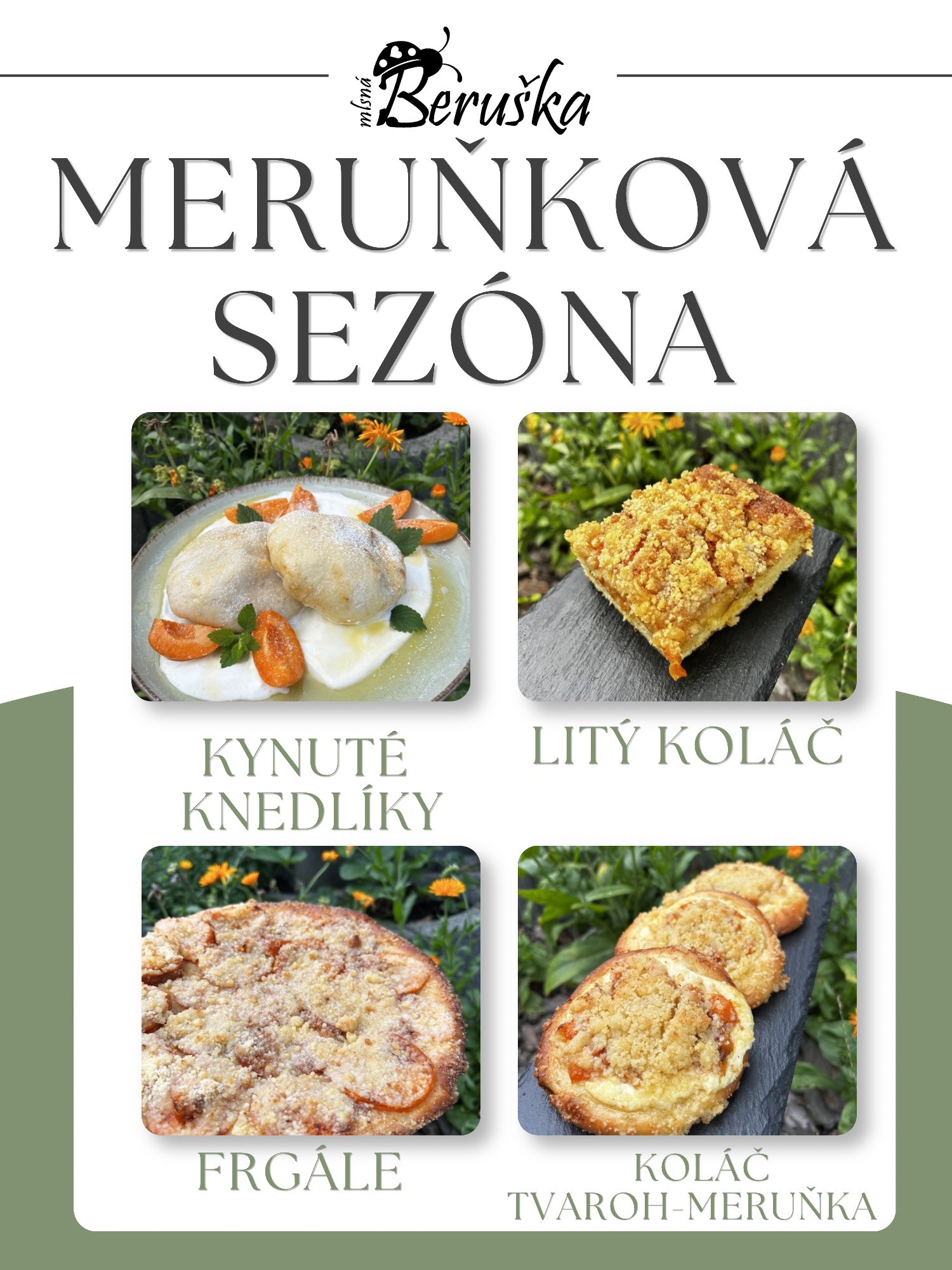 kopie-navrhu-boruvkova-sezona.jpeg